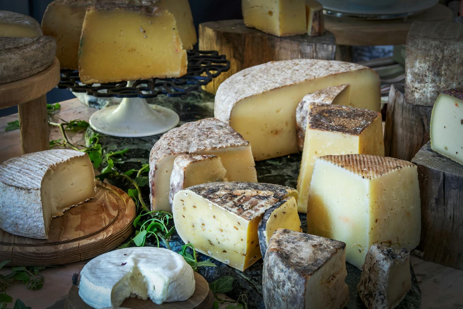 Alzheimer : le fromage est-il vraiment conseillé ?