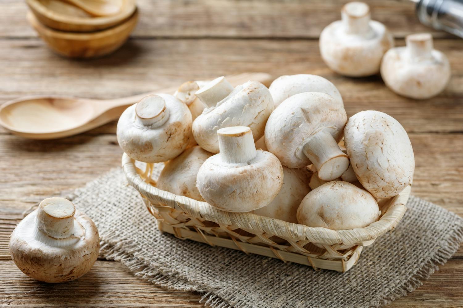 Manger des champignons le soir : bonne ou mauvaise idée ?
