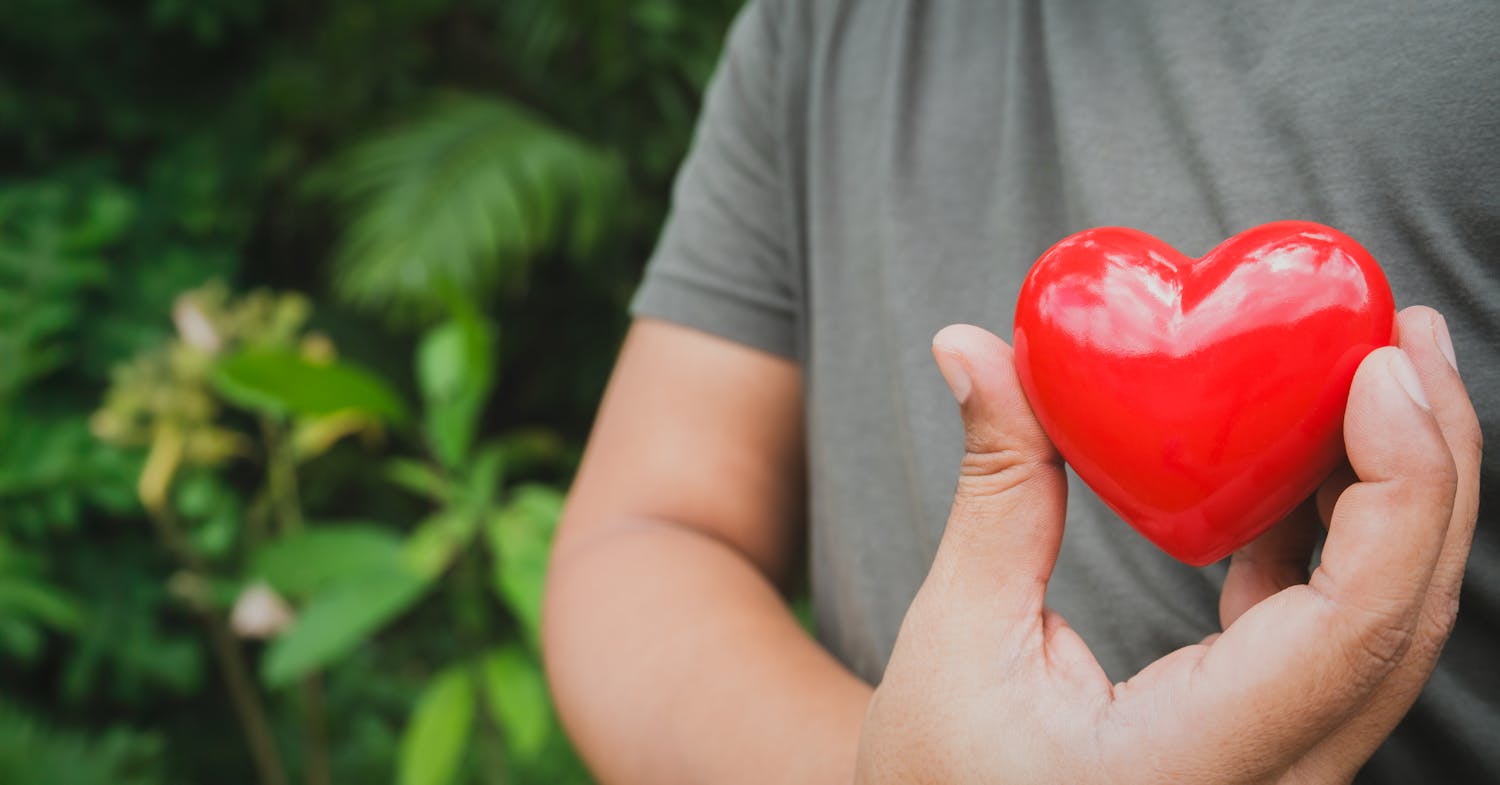 Tout savoir sur le rythme cardiaque et ses troubles : pourquoi le coeur bat-il trop lentement ou trop vite ? que faire?